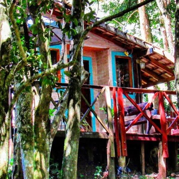 Casa Aconchegante Na Serra. サント・アントーニオ・ド・ピニャウ エクステリア 写真